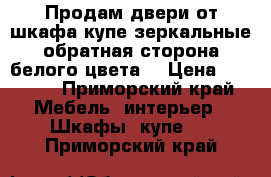 Продам двери от шкафа купе зеркальные обратная сторона белого цвета. › Цена ­ 8 000 - Приморский край Мебель, интерьер » Шкафы, купе   . Приморский край